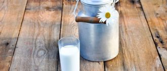 Принимая молоко у сельского населения, можно построить эффективный бизнес