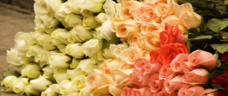 Салон цветов — бизнес прибыльный, хоть прибыль и изменчива