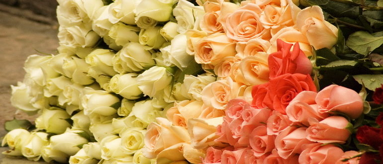 Салон цветов — бизнес прибыльный, хоть прибыль и изменчива
